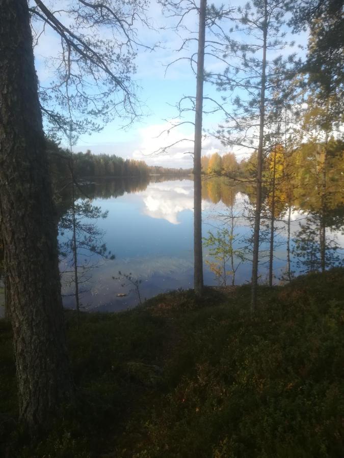 Tiirantuvat * Juankoski